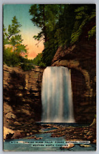 Postcard Looking Glass Falls Pisgah National Forest North Carolina   G 14 picture
