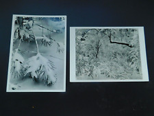 Lot of 2 Ansel Adams B&W Photograhs of Snow UNUSED Christmas Cards C297 picture