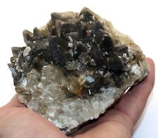 Large Dog Tooth Calcite Crystal cluster healing crystals minerals Ref:WS22.DTL picture