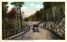 Vintage Postcard- MOHAWK TRAIL, BERKSHIRE HILLS, MA. picture