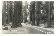 Postcard CA Redwood Highway at Richardson Grove RPPC Vintage Tree California picture