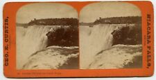Oct.26th 1892 E.L.J. with Samuel , Niagara Falls Stereoview Photo by Curtis picture
