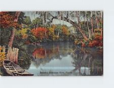 Postcard Beautiful Suwannee River Florida USA picture