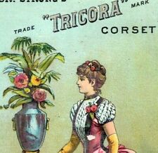 1870's-80's Dr. Strong's Tricora Corset Lovely Lady In Pink Dress P195 picture