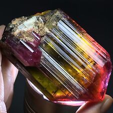 269g Rare Extremely Gorgeous Watermelon Green/Pink Tourmaline Gem,Pakistan picture