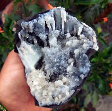 Cotead CALCITE On CHALCEDONY Coral Minerals A-4.24 picture