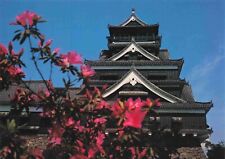 Kumamoto Japanese Postcard - Kumamoto Castle Vtg  #78 picture