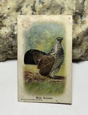 Victorian Trade Card Arm & Hammer Church Dwight #2 Blue Grouse Useful Bird c1908 picture