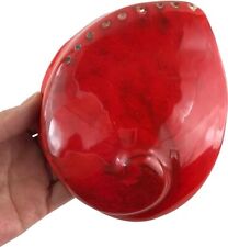 Large Natural Polished Bright Red Midas Abalone Seashell Rare Real 5