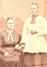 CDV Photo 1800's Waverly, Ia. Ladies Victorian Dress & Collars J.H. Fritz picture