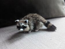 Vintage Taxidermy racoon Real Fur Realistic picture