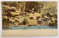 Antique Fiji Postcard Tamavua River Near Suva Unposted Undivided Back picture