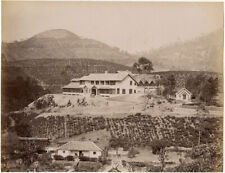 Photo Attr. Skeen Albumen Ceylon to The 1880 picture