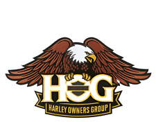 Large Eagle Gold Patch Harley Davidson Owners Group HOG picture