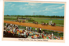 Postcard: Sunshine Park Race Track at Oldsmar, FL (Florida -race horses parading picture