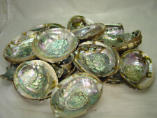 BUTW Abalone shell Pieces for jewelry crafting ????  3068E abe picture