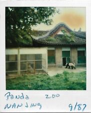 2 vintage instant Polaroid color photo 1987 Nanjing panda zoo China picture