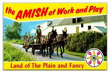Vintage 1960s- Amish At Work & Play - Lancaster Pennsylvania Postcard (UnPosted) picture