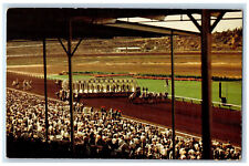 c1950's Horse Racing Del Mar Turf Club Del Mar California CA Postcard picture