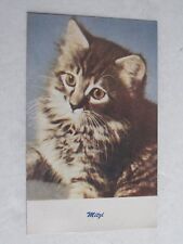G72 Postcard Cute Cat Kitten Mitzi Tiger kitty 1947  picture
