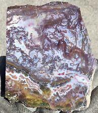 1 Lb+ Polished Moroccan Agate Apple Valley Standing Display Piece picture