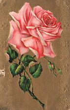 Vintage Postcard 1915 Beautiful Dusty Pink Rose Flower Blooms Floral Artwork picture