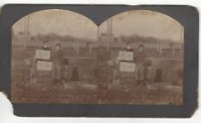 Boys on Log Pile (Holding Campaign or Funeral Posters?) c 1880's Stereoview picture