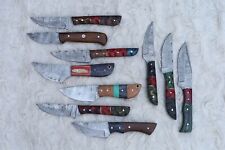 LOT OF 10 PCS HANDMADE DAMASCUS STEEL BLADE MIX SKINNER  HUNTING KNIFE # H-29 picture