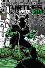 Teenage Mutant Ninja Turtles: Black, White, And Green #1 Variant 40th Anniversar picture