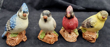 Knollwood Songbirds Salt and Pepper Shakers by Sonoma set of 4 picture