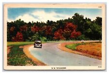 Generic Scenic Greetings Misprint Country Road Greenville NH LInen Postcard R27 picture