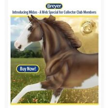 Breyer Horse Midas 2021 Collector Club Lottery Run 250 Pieces Made Flash Mold picture