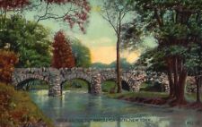 Vintage Postcard 1912 Rock Bridge Botanical Garden Scenic View New York NY picture