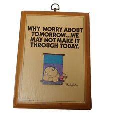 Ziggy Plaque Why Worry About Tomorrow Vintage Wooden Wall Hanging 9.75