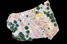Old Stock Marovato Original Ocean Jasper Large Slab with Great Orbs picture