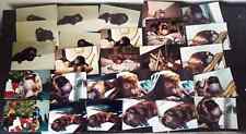 (60)+ Vintage Photos of a Baby Monkey, Color 1980's 90's 3x5 picture