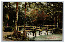 Rustic Bridge South Mountain Reservation, South Orange New Jersey NJ Postcard picture
