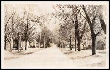 Ripley, New York, North State Street, Chatauqua County, Real Photo Postcard RPPC picture