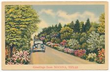 Vintage Postcard Greetings from Nacona, Texas picture