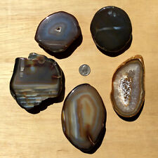 5 Agate Geode Rock Slices Mixed Polished End Cut Stones Natural Colors 3lbs 14oz picture