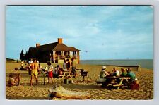 Mason County MI-Michigan, Evening Beach, Ludington State Park, Vintage Postcard picture