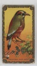 1910 ITC of Canada Game Bird Series C14 The Mot Mots #23 0l4h picture