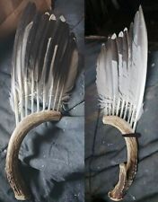    Native American  Feather Fan Eagle Antler picture