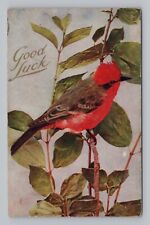 Postcard Beautiful Bird Good Luck c1909 picture