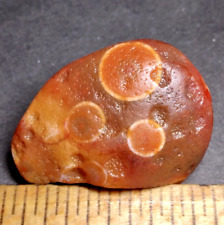 Lake Superior Agate 0.44 oz 'BANDED w MUSEUM GRADE LARGE EYES' Rough Gemstone picture