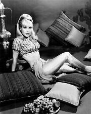 Barbara Eden early publicity pose bare midriff as Jeannie 24x30 inch poster picture