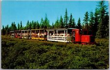 Vintage Postcard: Toonerville Trolley - Michigan's Upper Peninsula A28 picture
