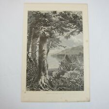 Antique 1874 Engraving Print Hemlocks of Lake Ostego John A. Hows Cooperstown NY picture