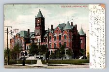 Saginaw MI-Michigan, City Hall, Antique Vintage c1907 Souvenir Postcard picture