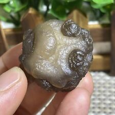Top Bonsai Suiseki-Natural Gobi Agate Eyes Stone-Rare Stunning Viewing 35g A40 picture